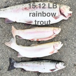 My PB from last year. What a memory...