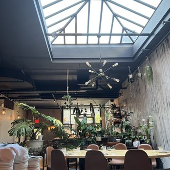 Antidote - Cocktail Bars Near Me - Brooklyn, New York