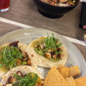 Native - Pork Belly Tacos + Roasted Chicken Ramen - Breakfast & Brunch Near Me - Los Angeles, California