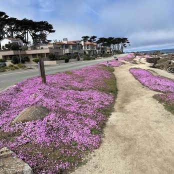 Perkins Park - Beaches Near Me - Pacific Grove, California Perkins Park - Beaches Near Me - Pacific Grove, California