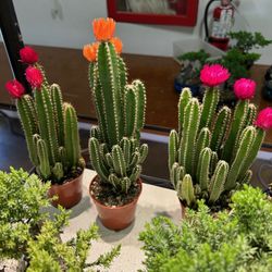 Orange County Pet & Reptile Expo
