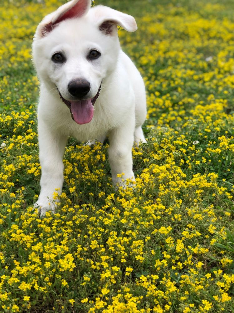 STURGIS ACRES Updated August 2024 Request Information 18 Photos 595 State Rte 270 W