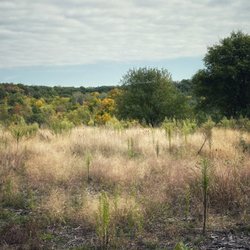 Prairie Moraine Dane County Parks 
