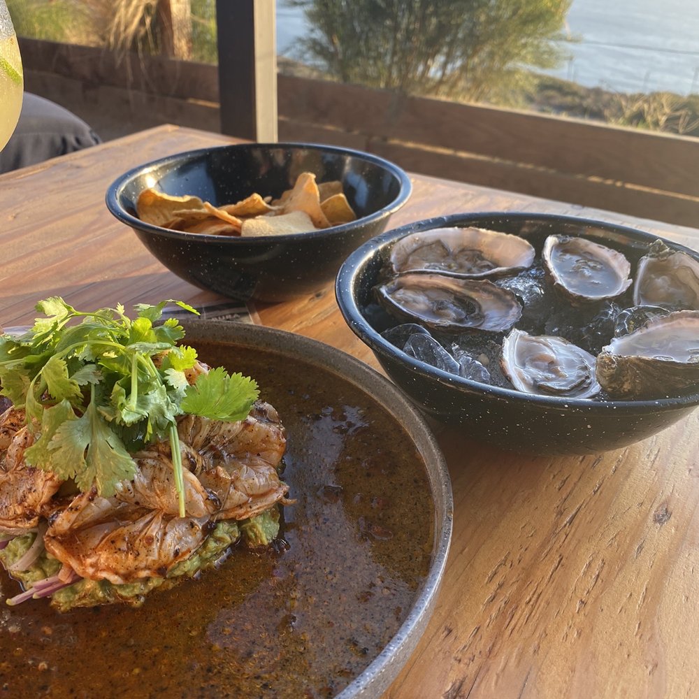 Delicious Ceviche, oysters, chips and guacamole Delicious Ceviche, oysters, chips and guacamole