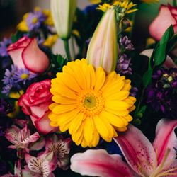 B & B Flowers & Balloons