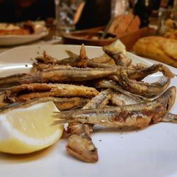 Schütter's Zwei - Boquerones