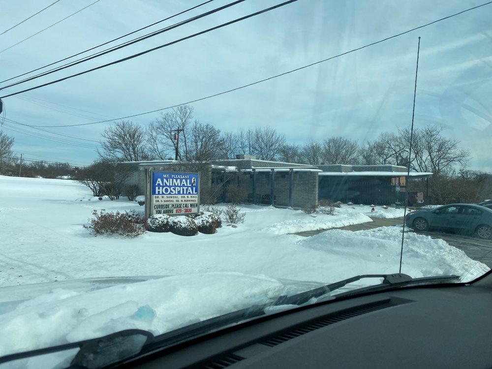 MT. PLEASANT ANIMAL HOSPITAL Updated July 2024 14 Reviews 6120