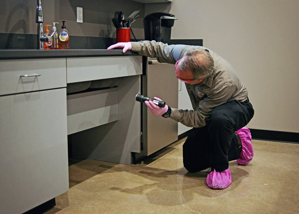 NATURAL STATE PEST CONTROL Updated September 2024 13 Reviews 223 E 7th St, Fayetteville