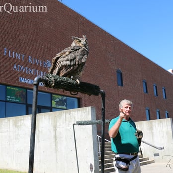 Flint RiverQuarium - The Great Horned Owl... one powerful creature. - Aquariums Near Me - Albany, Georgia