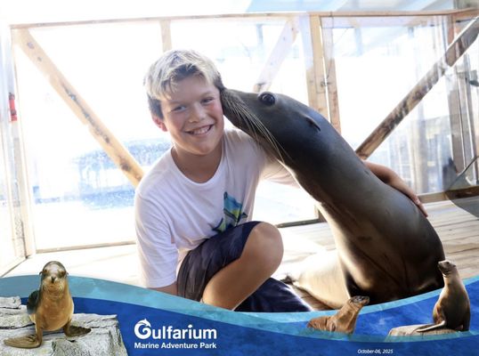 Gulfarium Marine Adventure Park by null