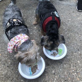 Cleo's Barkery - Enjoying the turkey cake - Bakeries Near Me - Scarsdale, New York