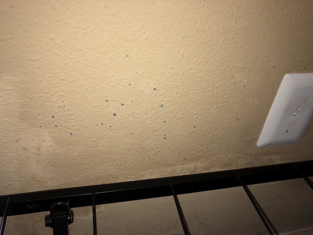 THE PARK AT LAKE COMO Updated August 2024 12 Reviews 8301