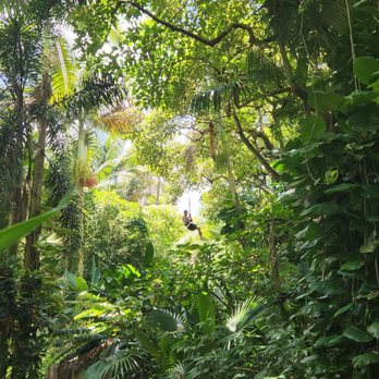 Jungle Zipline Maui - Tours Near Me - Haiku, Hawaii Jungle Zipline Maui - Tours Near Me - Haiku, Hawaii