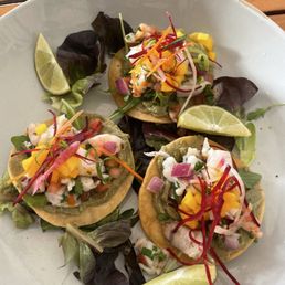 Ceviche - shrimp Was the special today Ceviche - shrimp Was the special today
