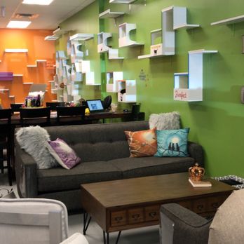 Patriot Pawsabilities - Fantastic home-like setting with comfy couches! - Pet Adoption Near Me - Fairfax, Virginia Patriot Pawsabilities - Fantastic home-like setting with comfy couches! - Pet Adoption Near Me - Fairfax, Virginia