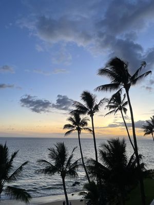 The Hale Pau Hana by null