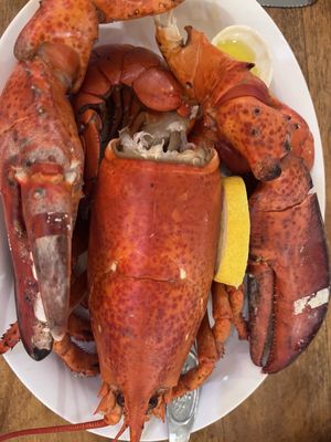 Baddeck Lobster Suppers by null