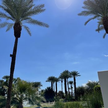 Shields Date Garden - Fruits & Veggies Near Me - Indio, California Shields Date Garden - Fruits & Veggies Near Me - Indio, California
