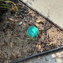 Arrow Exterminators - Termite trapper in my flower bed where I have iris bulbs planted