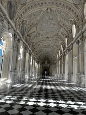 La Venaria Reale by null