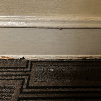 The Plaza Hotel Milwaukee - Busted baseborads - Hotels Near Me - Milwaukee, Wisconsin