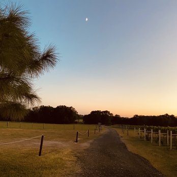 Rising Sun Vineyard - Sunset at the winery!!! - Wineries Near Me - McDade, Texas