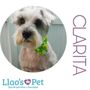 Photo of Llao's Pet Roma