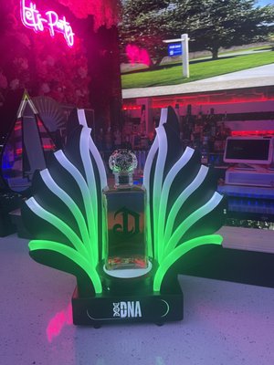 DNA social house by null