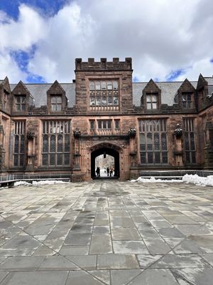 Princeton University by null