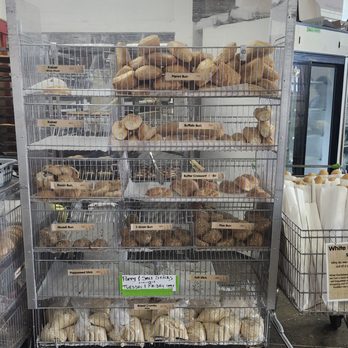 Montmartre Bakery - Breads of sorts - Bakeries Near Me - Scarborough, Ontario