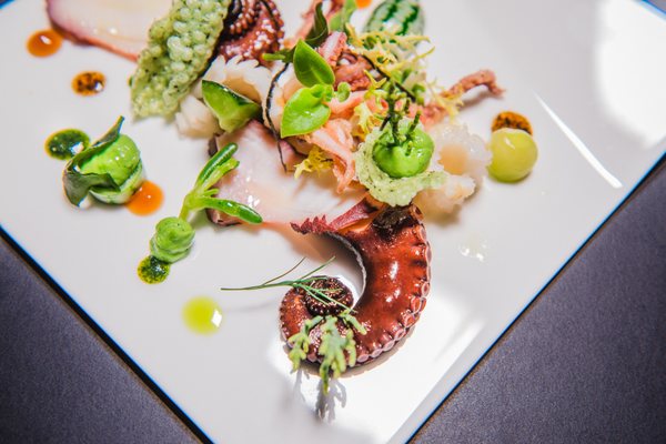Shiki Japanese Fine Dining | Brasserie | Bar by null