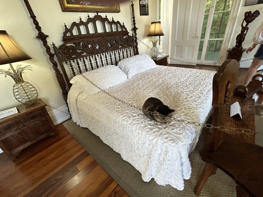 Conch Train Tour by null