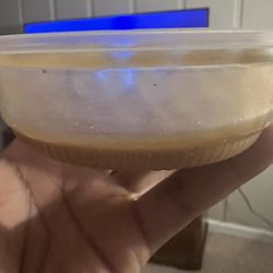 KFC - Side of gravy
