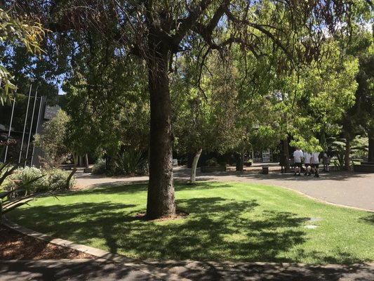 Adelaide Zoo by null