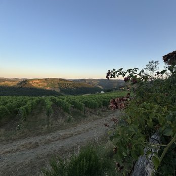 La Cantinetta di Rignana - Views - Tuscan Near Me - Greve in Chiant, FI La Cantinetta di Rignana - Views - Tuscan Near Me - Greve in Chiant, FI