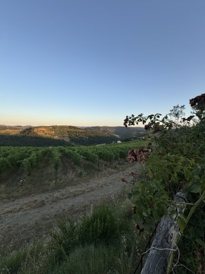 La Cantinetta Di Rignana by null
