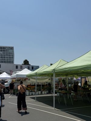 La Jolla Open Aire Farmers Market by null