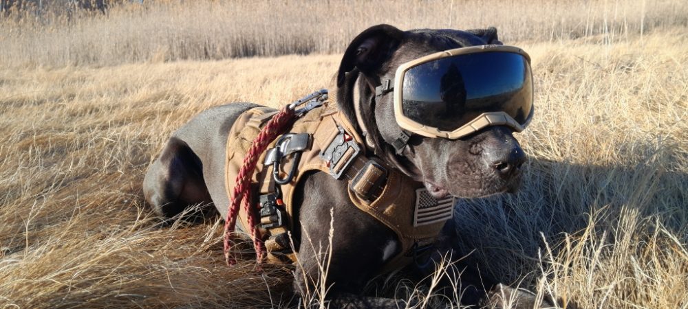 Slide of Semper Fi Contracting