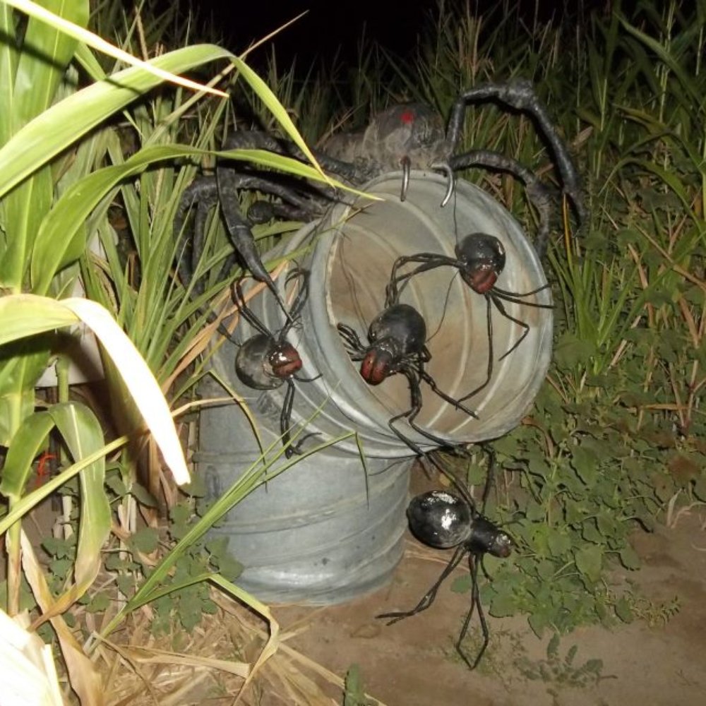 Raisin Hell Ranch - Haunted Houses Near Me - Madera, California Raisin Hell Ranch - Haunted Houses Near Me - Madera, California