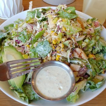 MIXT - Elote salad, compare in size to fork, massive and worth price - Vegetarian Near Me - Dallas, Texas