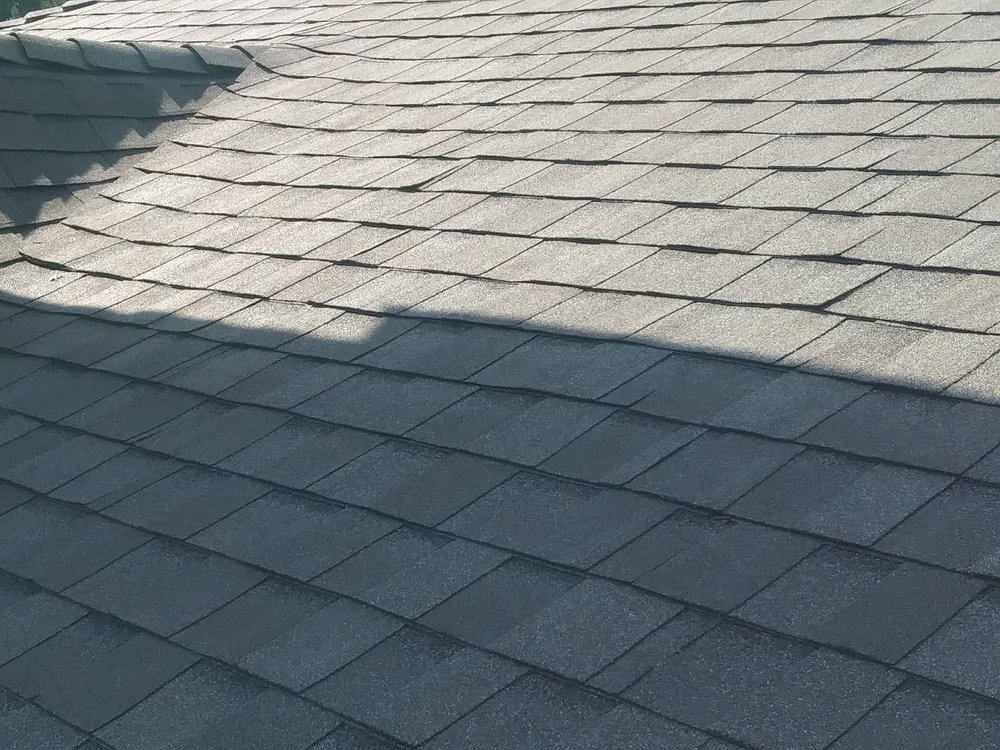 Slide of True Care Services