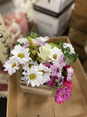 Sprouts Farmers Market by null