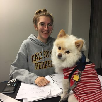 Green Academics - Private Tutors Near Me - San Mateo, California Green Academics - Private Tutors Near Me - San Mateo, California