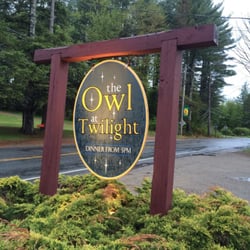 The Owl At Twilight