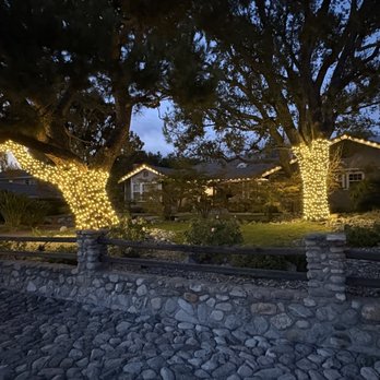 Hanson Holiday Lighting - Warm white roofline and warm white on these beautiful pines! - Holiday Decorating Services Near Me