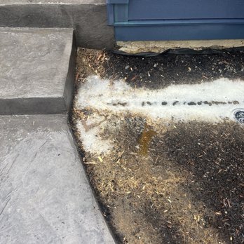 Vesta Wash - Bleached mulch. No attempt was made to protect plants or landscaping - Pressure Washers Near Me - Elsmere, Delaware Vesta Wash - Bleached mulch. No attempt was made to protect plants or landscaping - Pressure Washers Near Me - Elsmere, Delaware