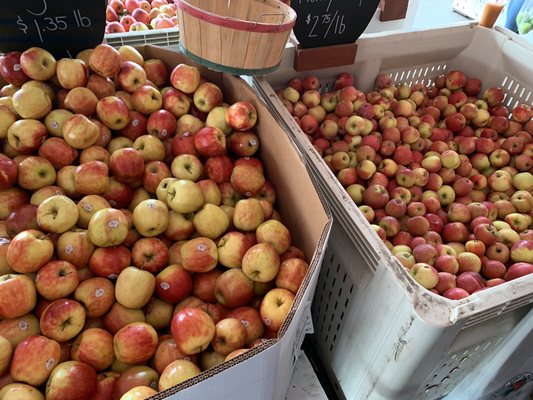 Oregon Heritage Farms by null