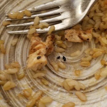 Pacific Catch - Always burnt pieces in the kids chicken teriyaki rice bowls. - Seafood Near Me - San Mateo, California