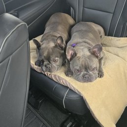 Bella and Ari