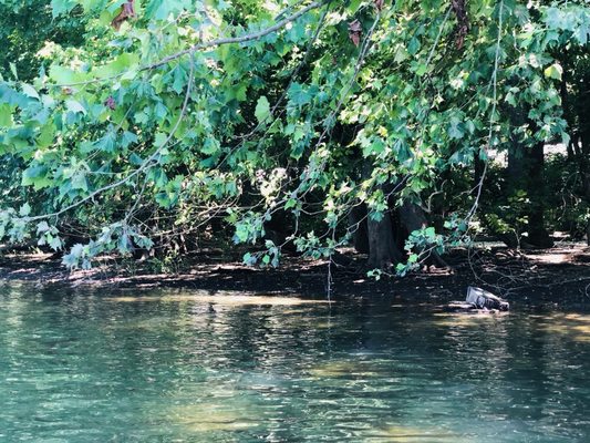 Front Royal Outdoors by null